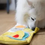 AFP Hvalpeaktivitetsbog | Puppy Nose Work